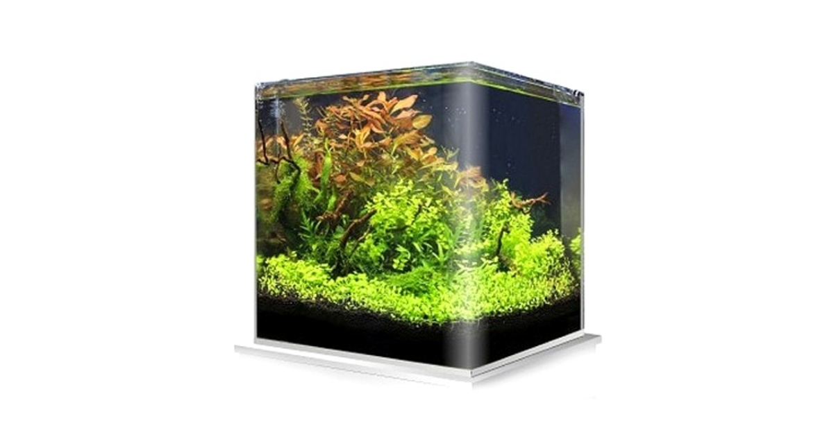 AMTRA Nanotank System 20 Aquarium van glas, compleet met LED-licht en filter, 25 x 25 x 30 cm, 18 liter